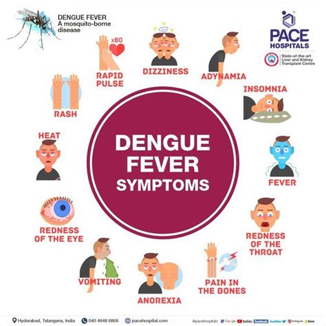 fever symptoms and treatment.